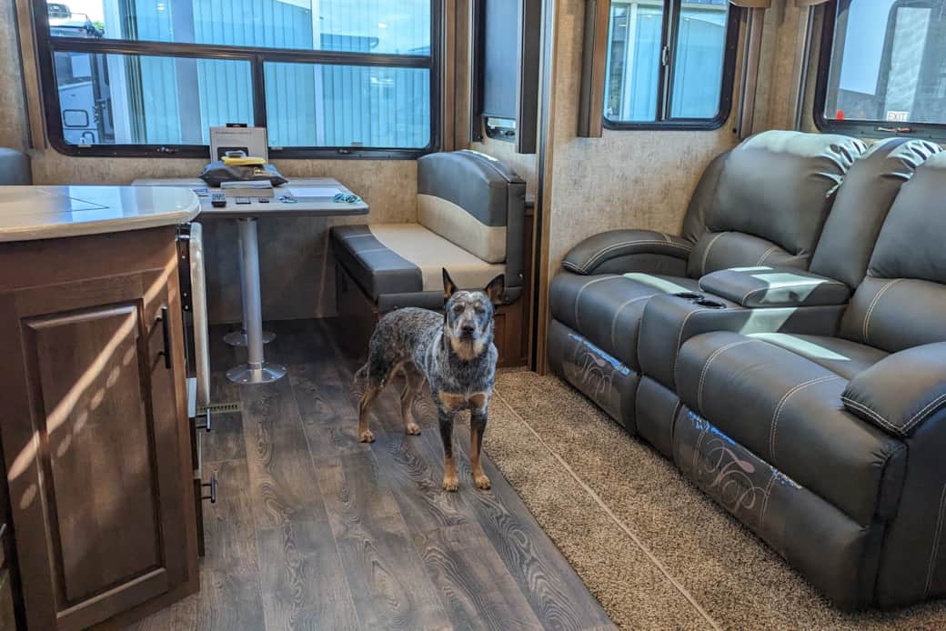 Pet friendly! Pet friendly!