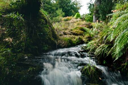 Lovely water features throughout the property