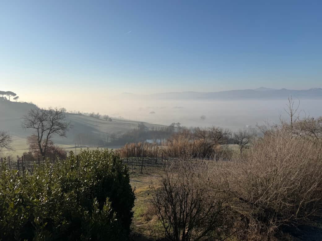 Morning Mist
