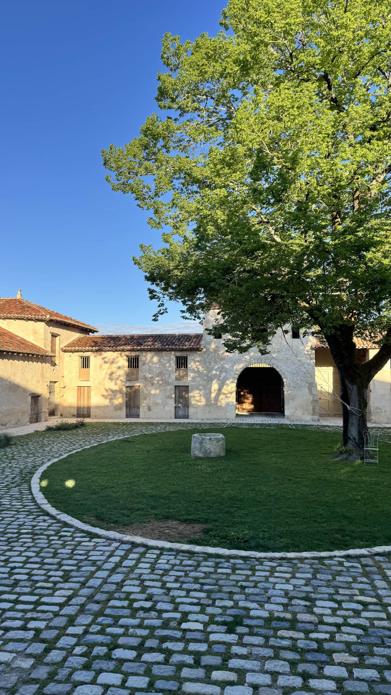 La cour