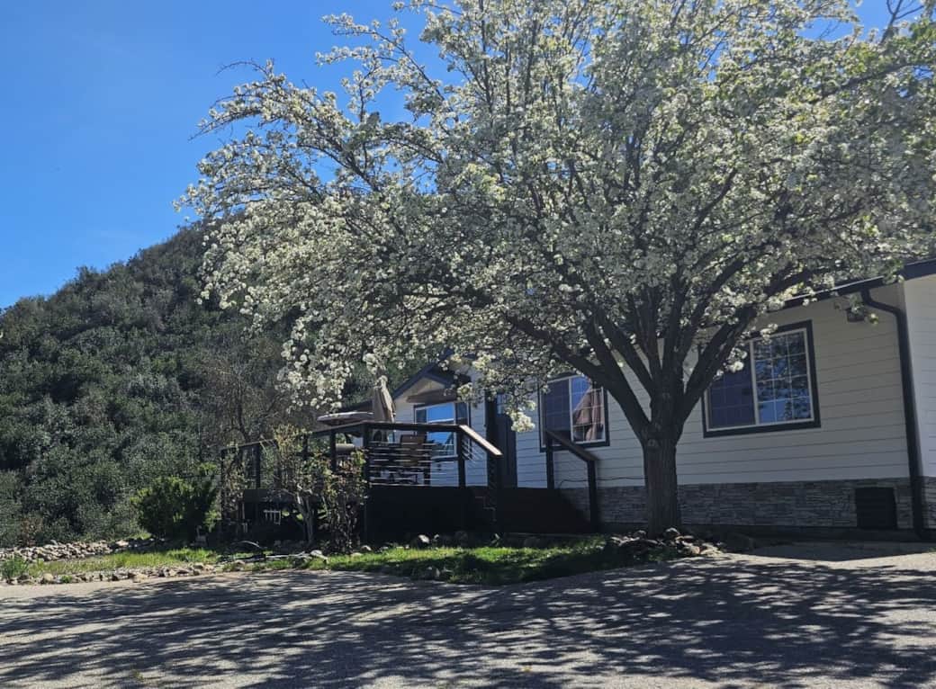 Front of the house with trees and flowers