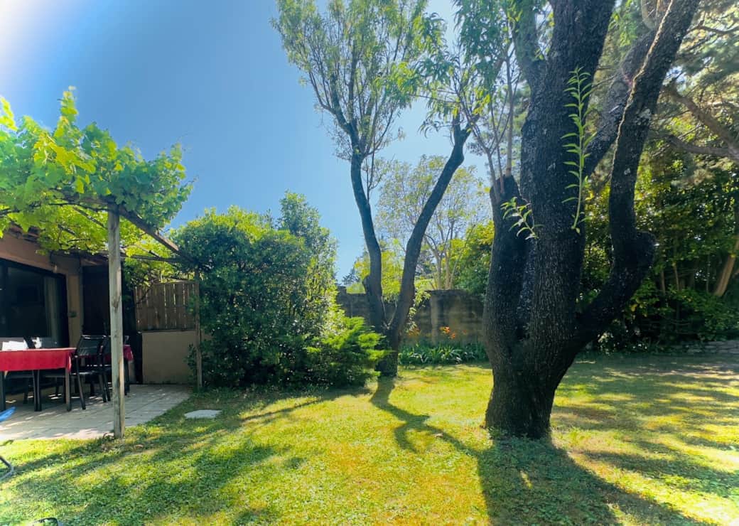 MP cinema jardin MP cinema jardin