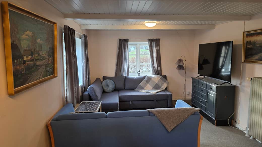 Living Room with new 65" LG TV