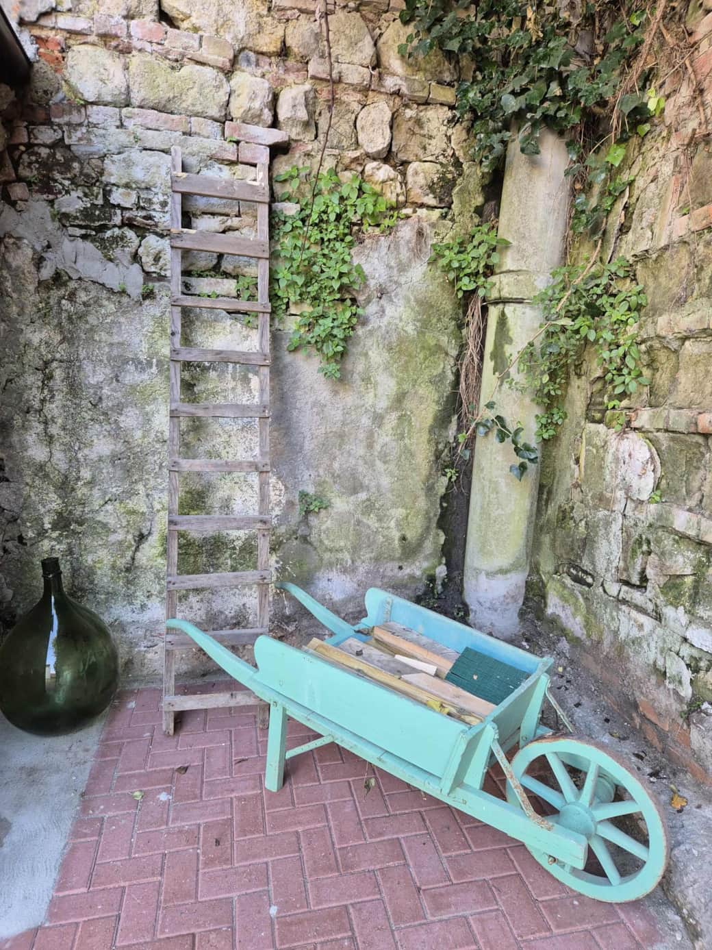 Cute courtyard garden to relax
