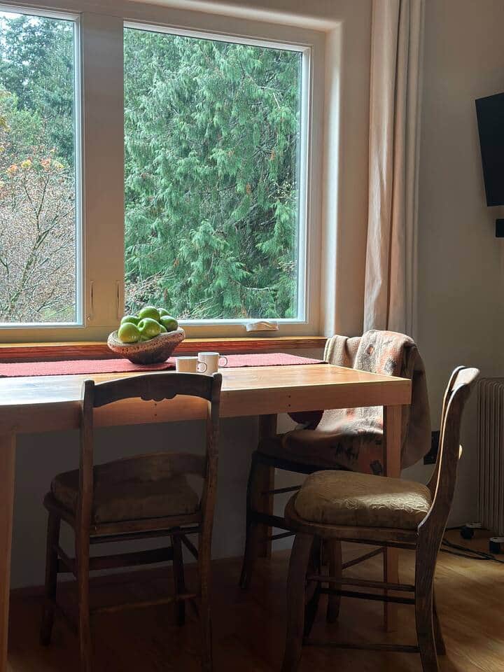 Light, trees, and a place to linger.