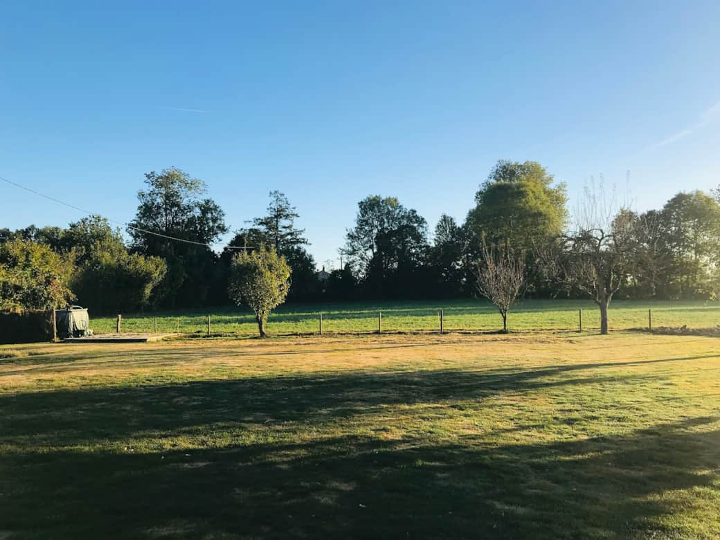 La Blatière - Lawn and tree