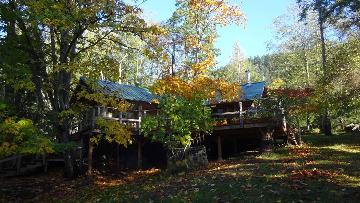 Front of cabin in the fall