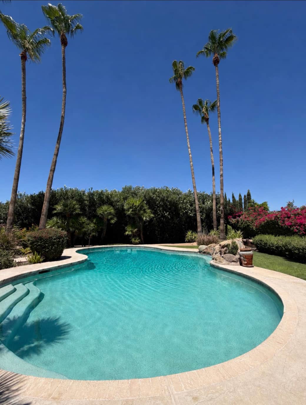 Oasis Pool Oasis Pool