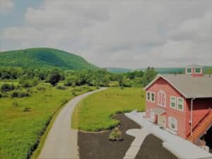 View 10