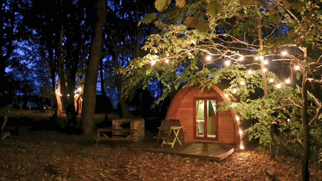 Fairy Lights Fairy Lights