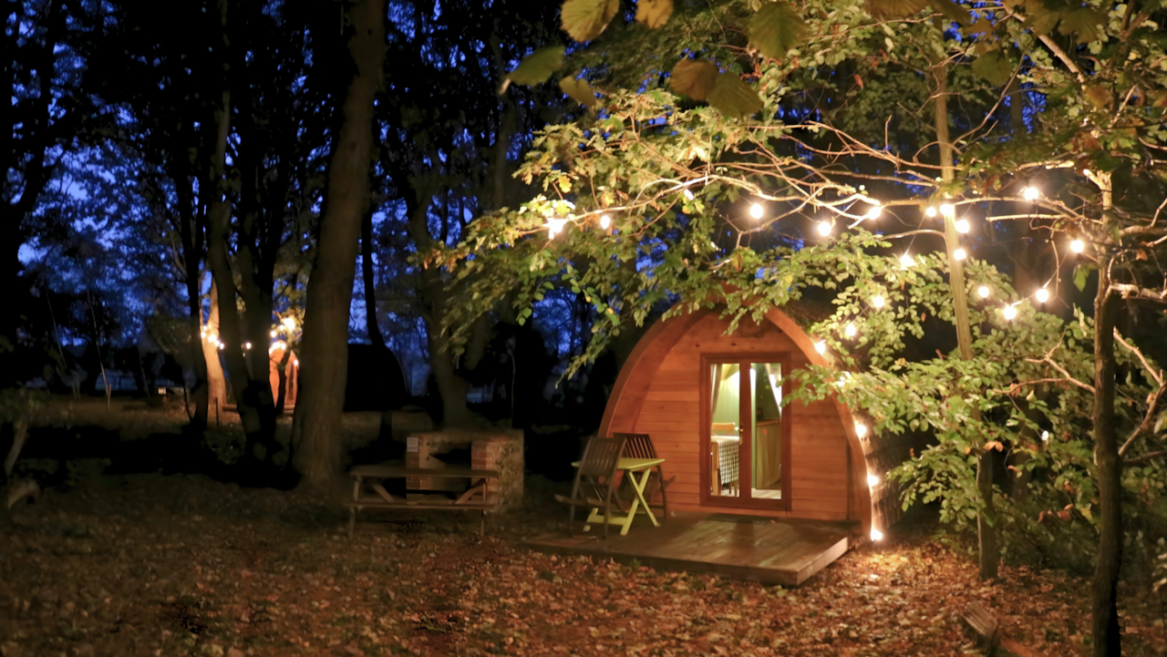 Fairy Lights