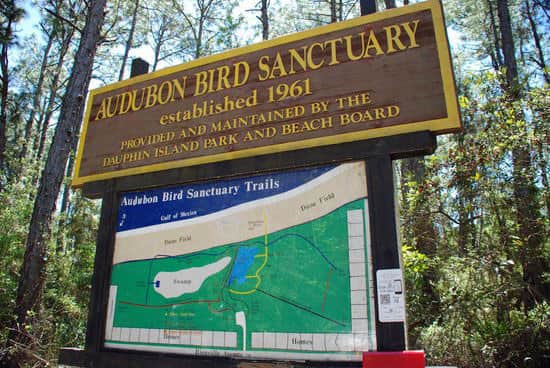 Audubon Bird Sanctuary, Dauphin Island
