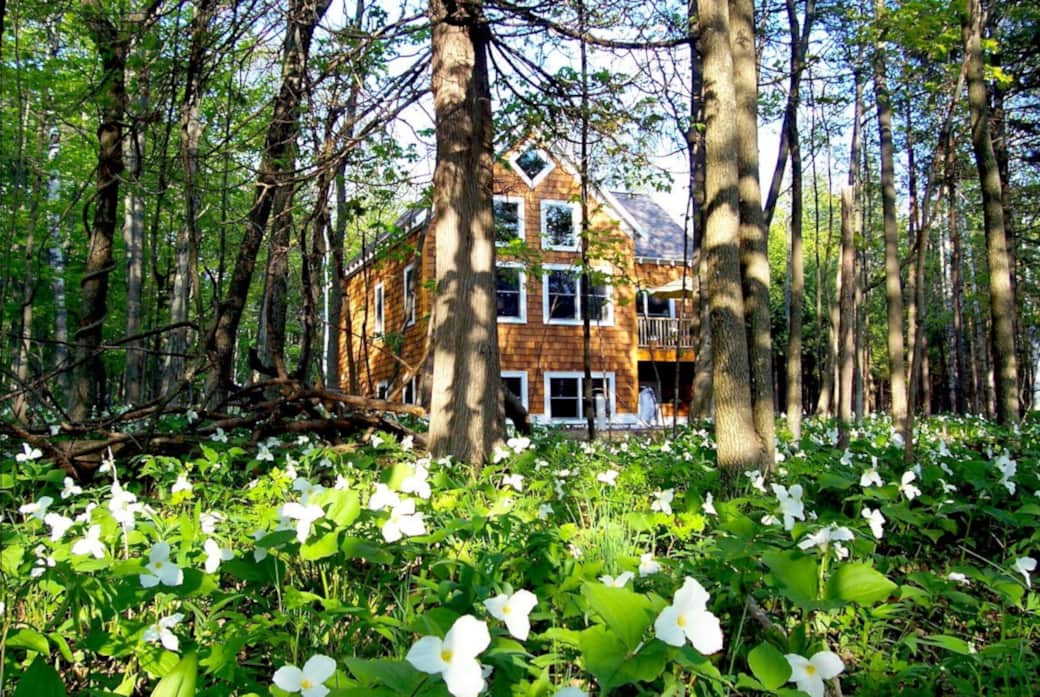 The Surf Cottage - on Lake Michigan
