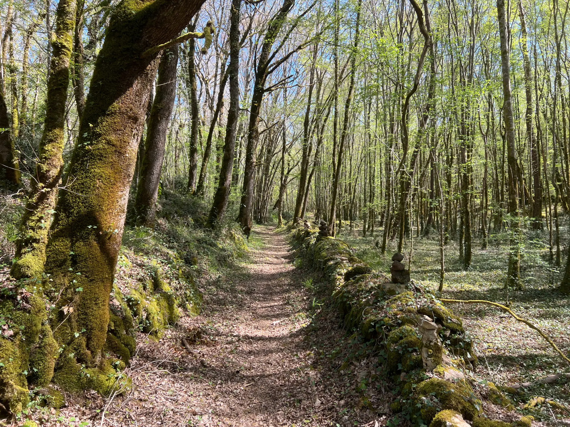 Montcabrier, Circuit des Gariottes walking route