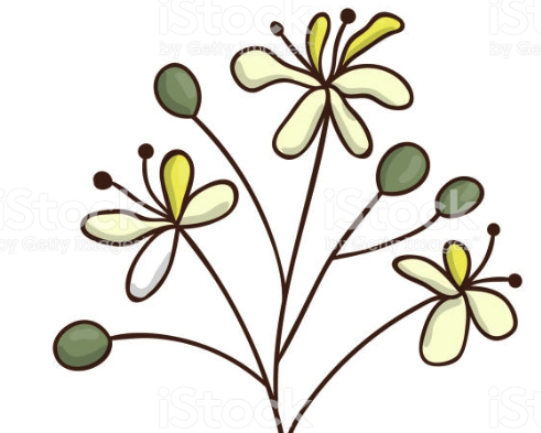 Vacation Rental Fully Renovated Heritage Cottage Bergerac Dordogne