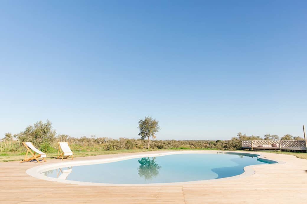 Swimming pool and garden view