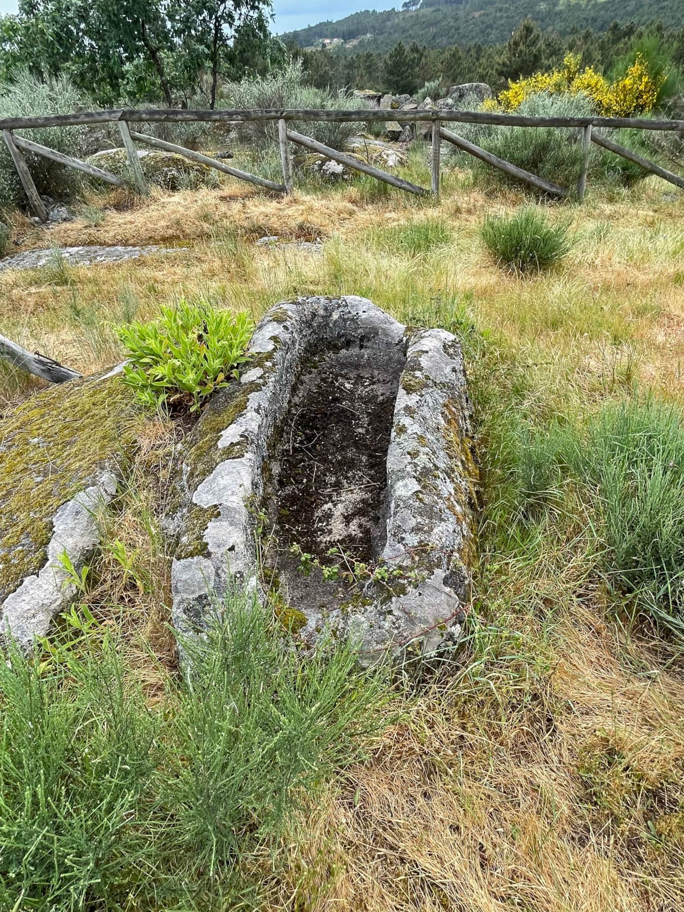 9 Muxagata Portugal 2022 (52) alt.jpg