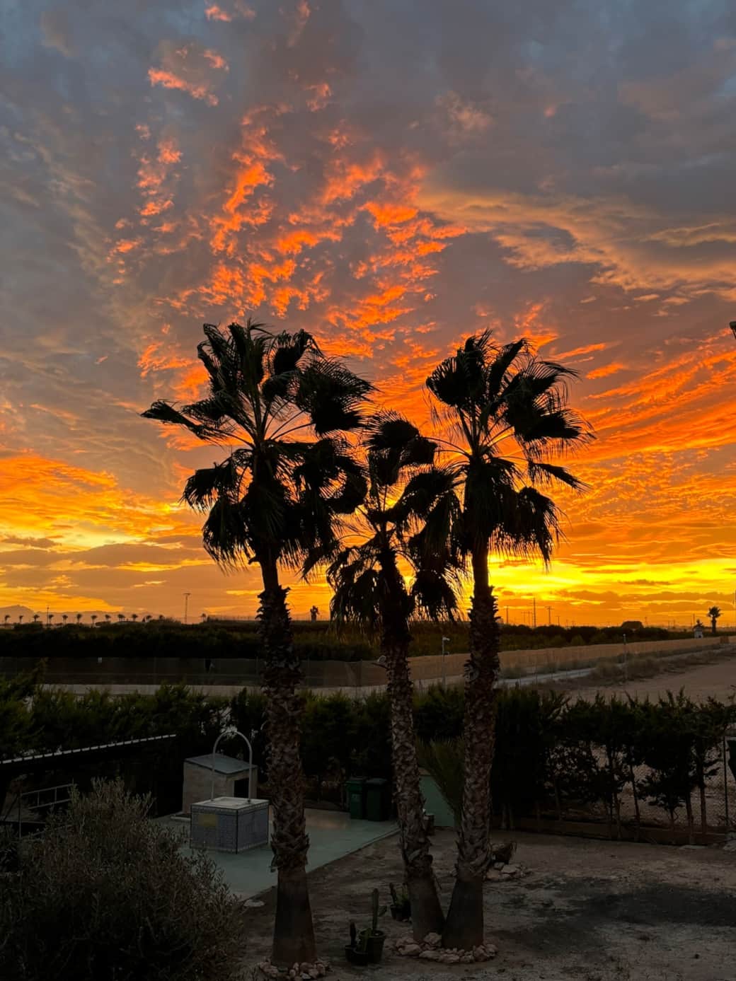 Nuestros atardeceres Nuestros atardeceres