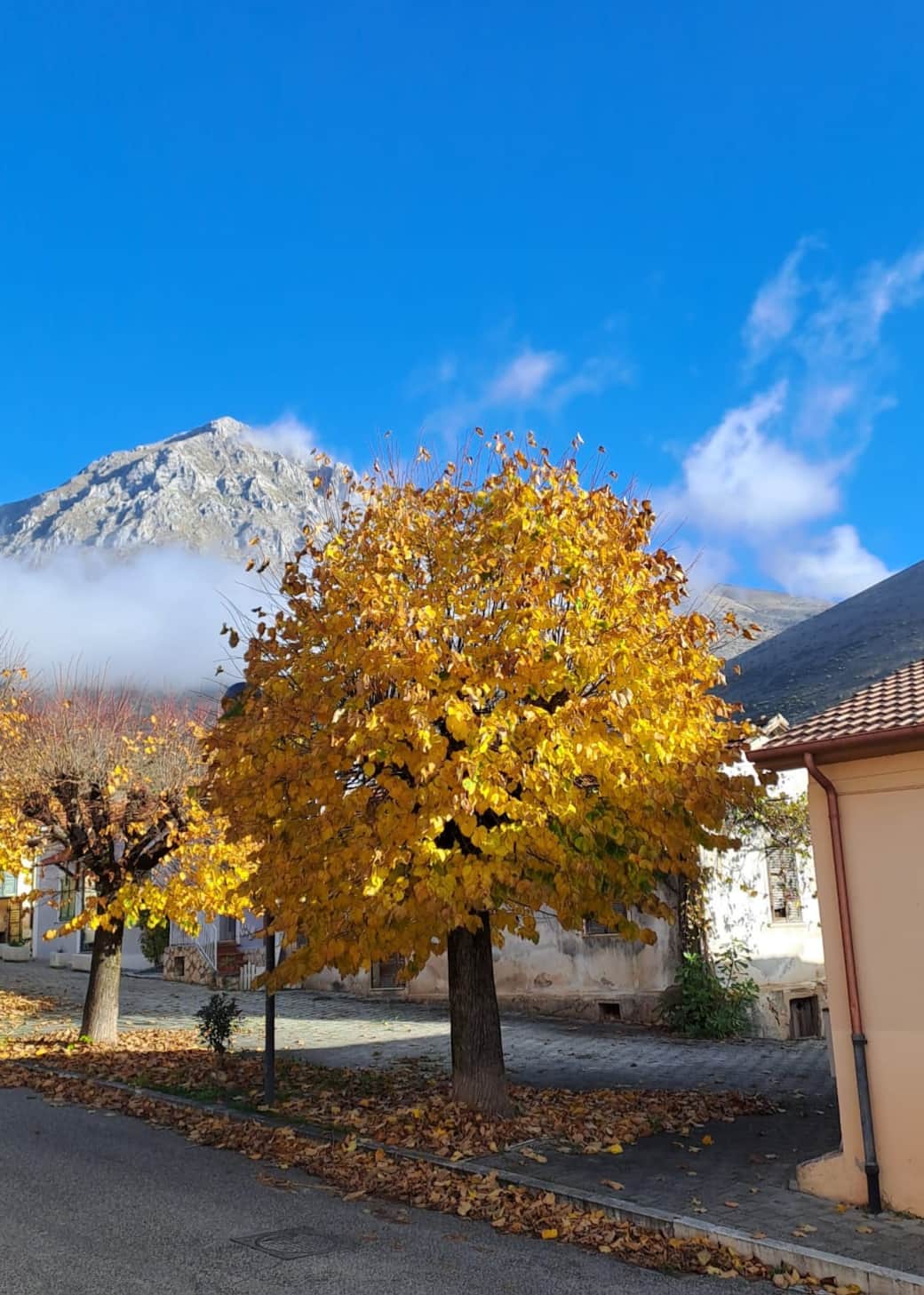 Casa Albe vista dal soggiorno