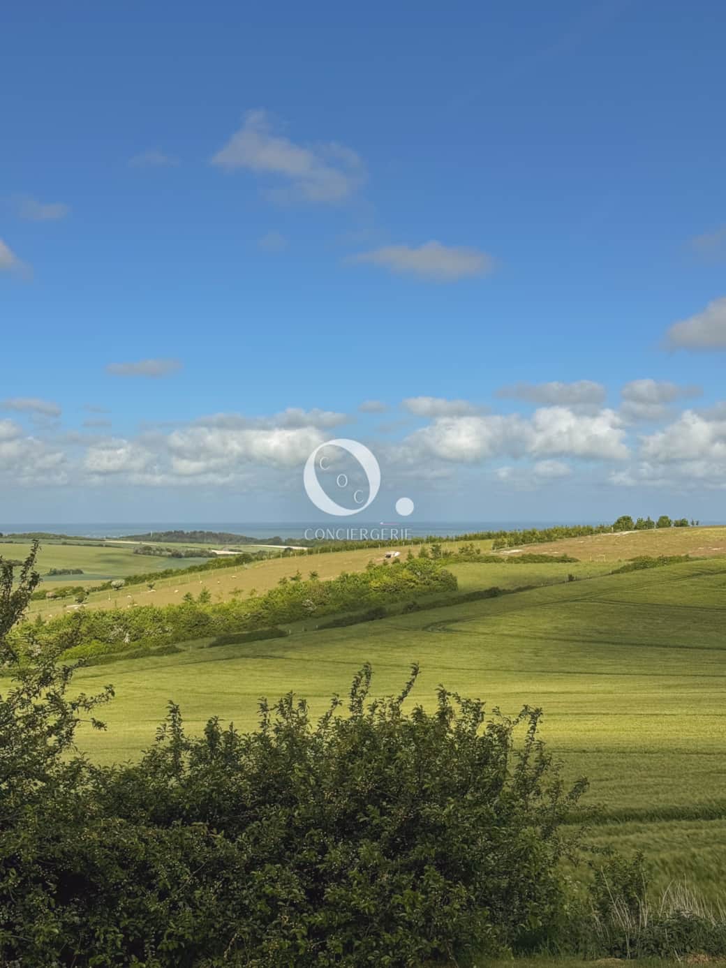 Vue