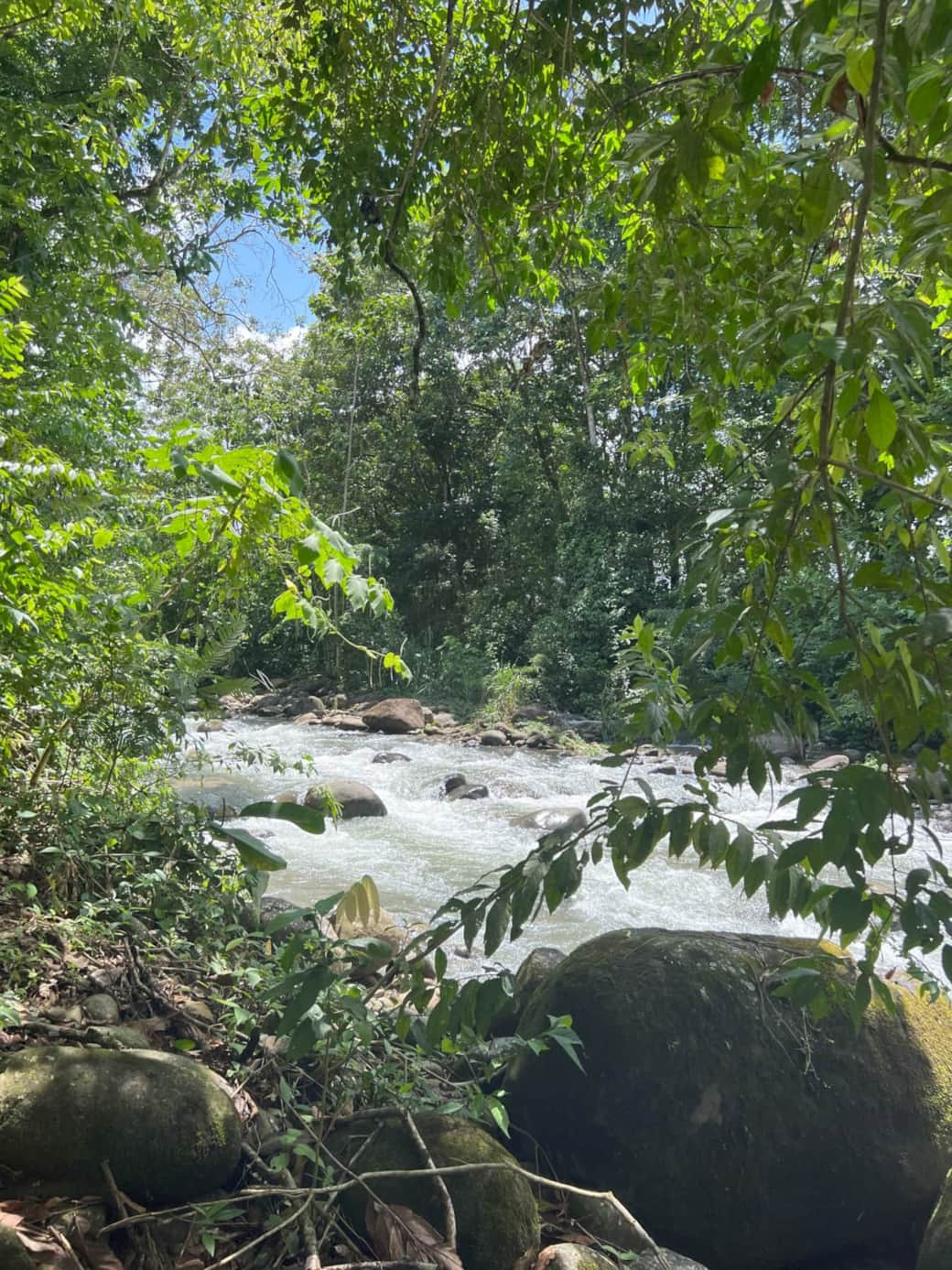 River behind house