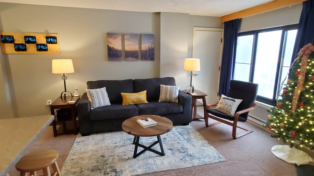 View of den