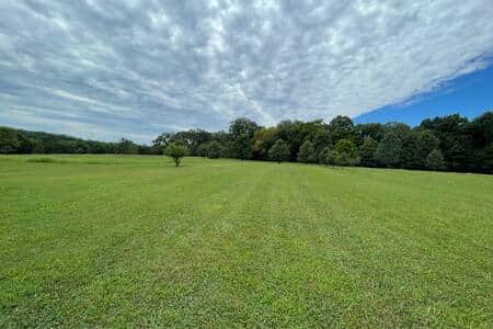 Green as far as you can see.