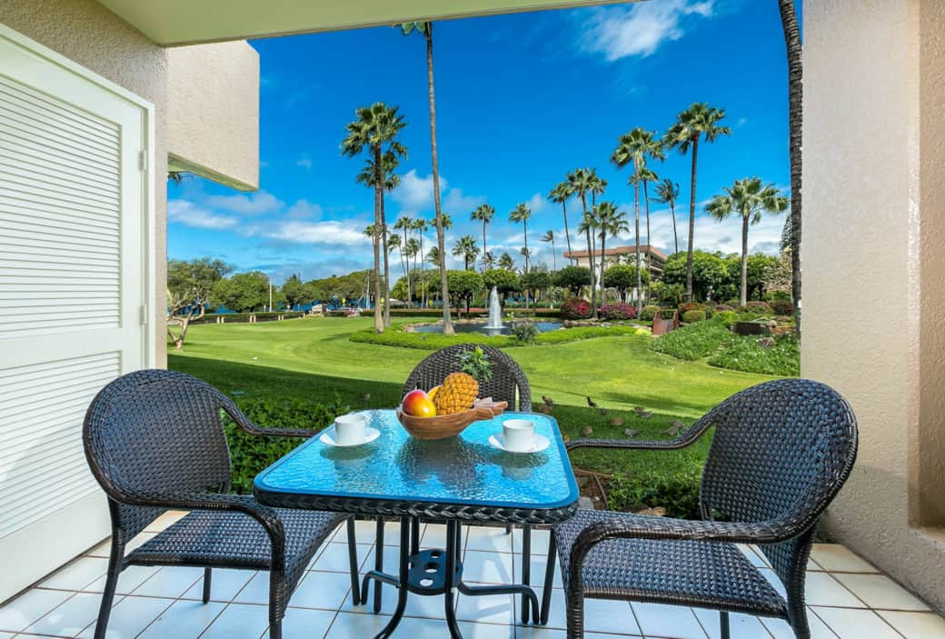 5282550036 5282550036