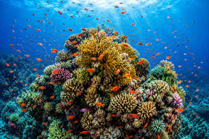 Belize adventures from Villa Terrapin Station