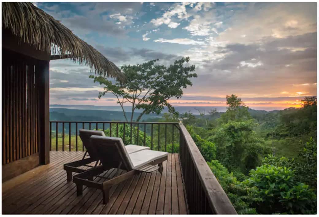 Peace, Plants and Pura Vida