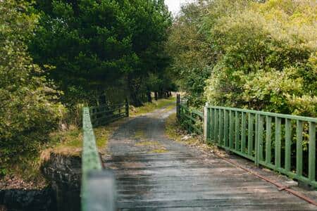 Bridge on the private road up to the cottage