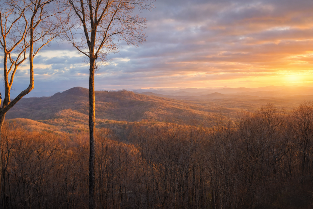 Stunning sunrise vista
