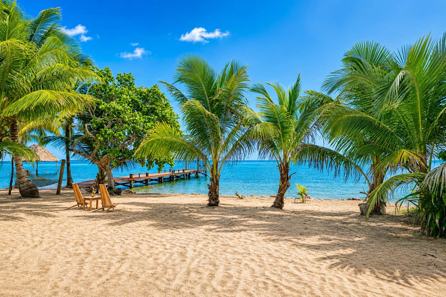Palm Framed Ocean Escape.jpg Palm Framed Ocean Escape.jpg