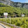 Immagine dell'alloggio