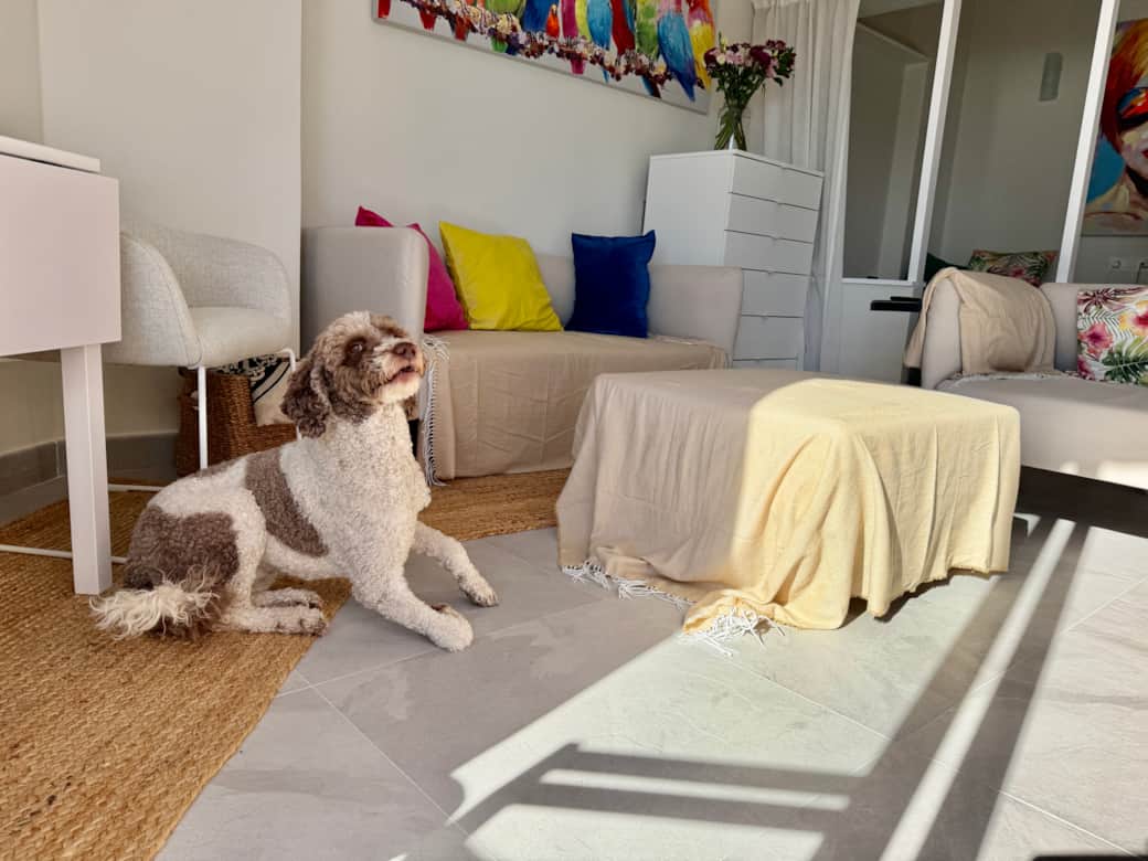 Skol Apartments Marbella 111A