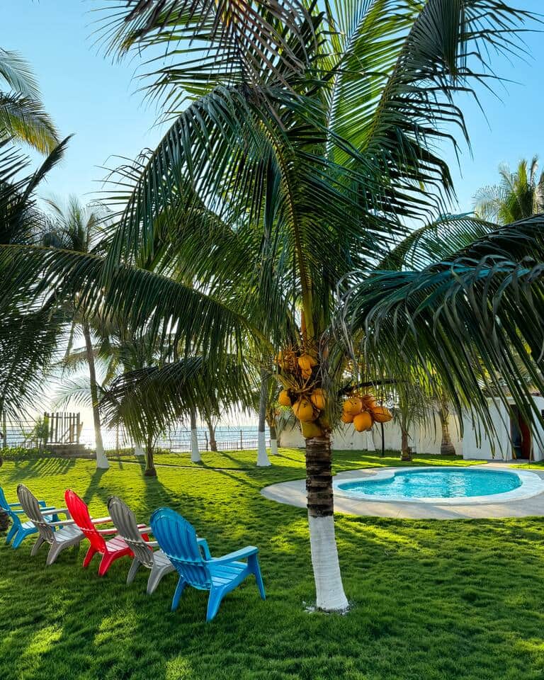 Lush coconut trees provide shade and also delicious coconuts.