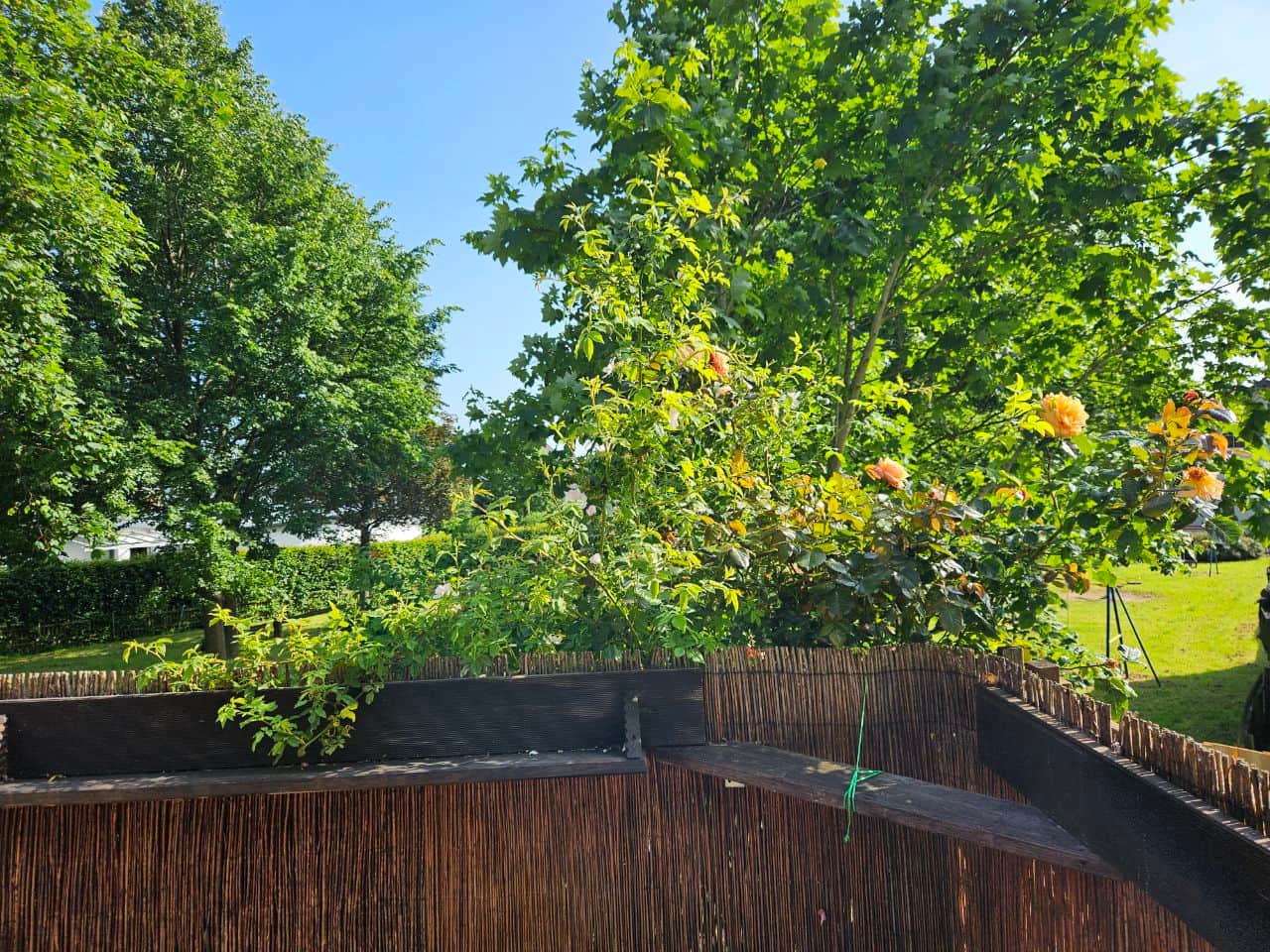 Garten, Terrasse und Spielplatz