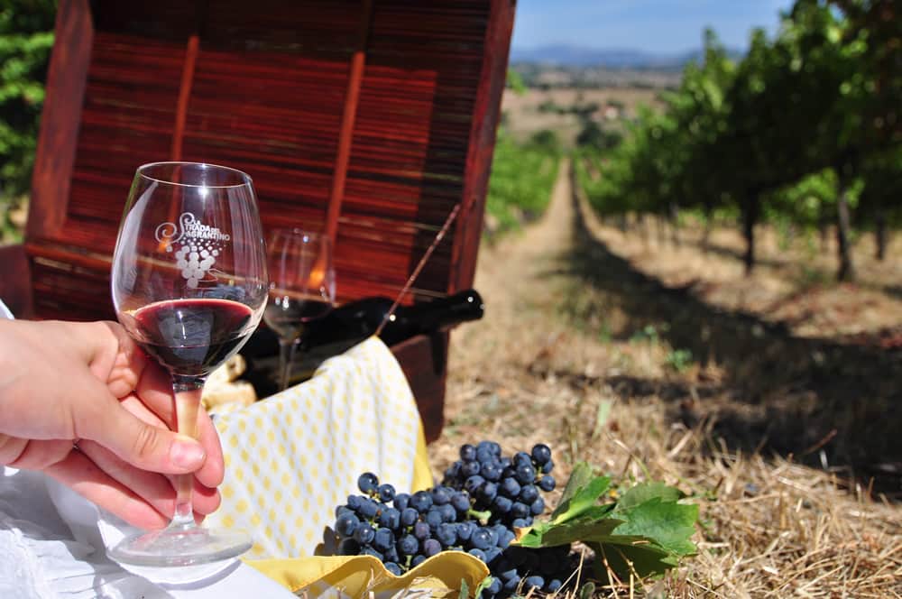 Degustazione vino 3.jpg