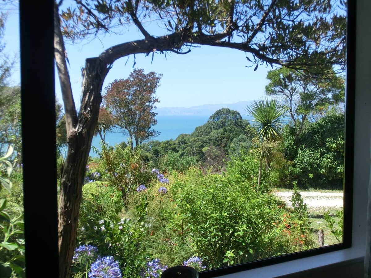 View from the Cabin