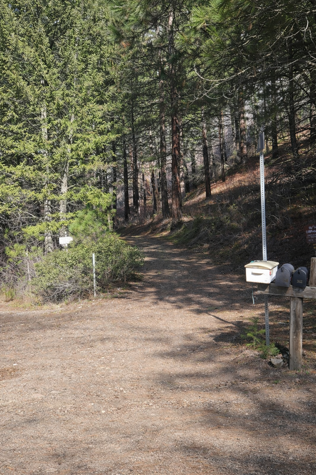 Upper coho entrance Upper coho entrance