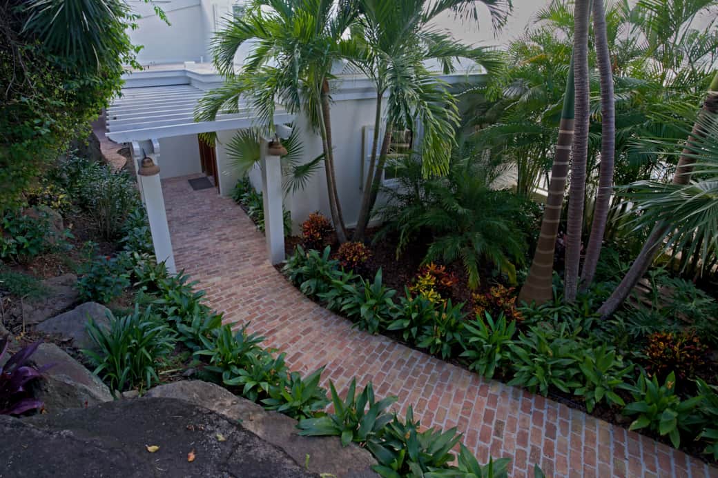 Lush Tropical Landscaping Lush Tropical Landscaping