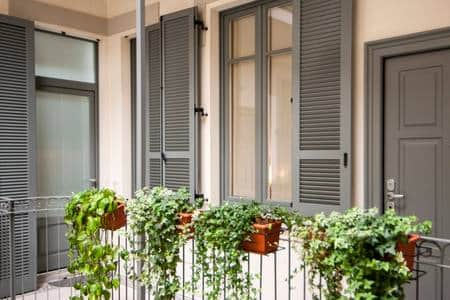 The courtyard