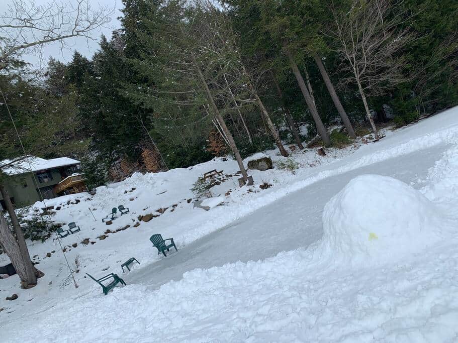 From the frozen lake... cleared a path for ice skating From the frozen lake... cleared a path for ice skating