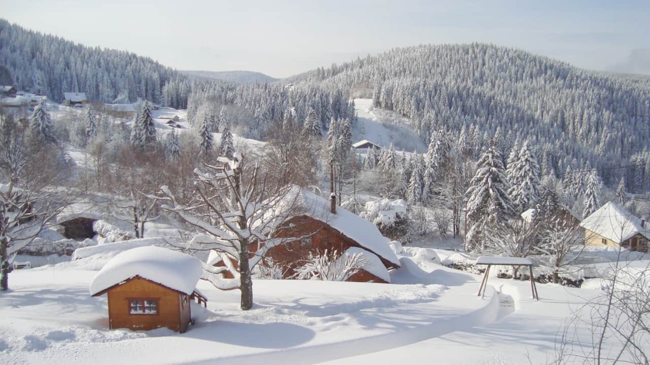 Winter