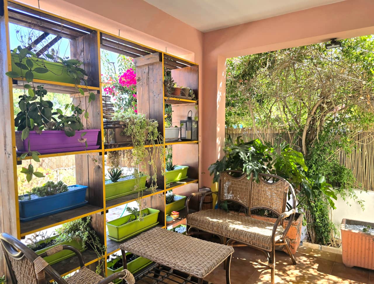 Shaded veranda surrounded by plants and bougainvillea