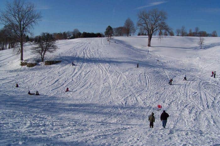 Sledding Through the Winter