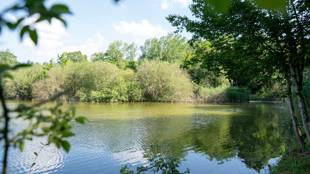 Etang Etang
