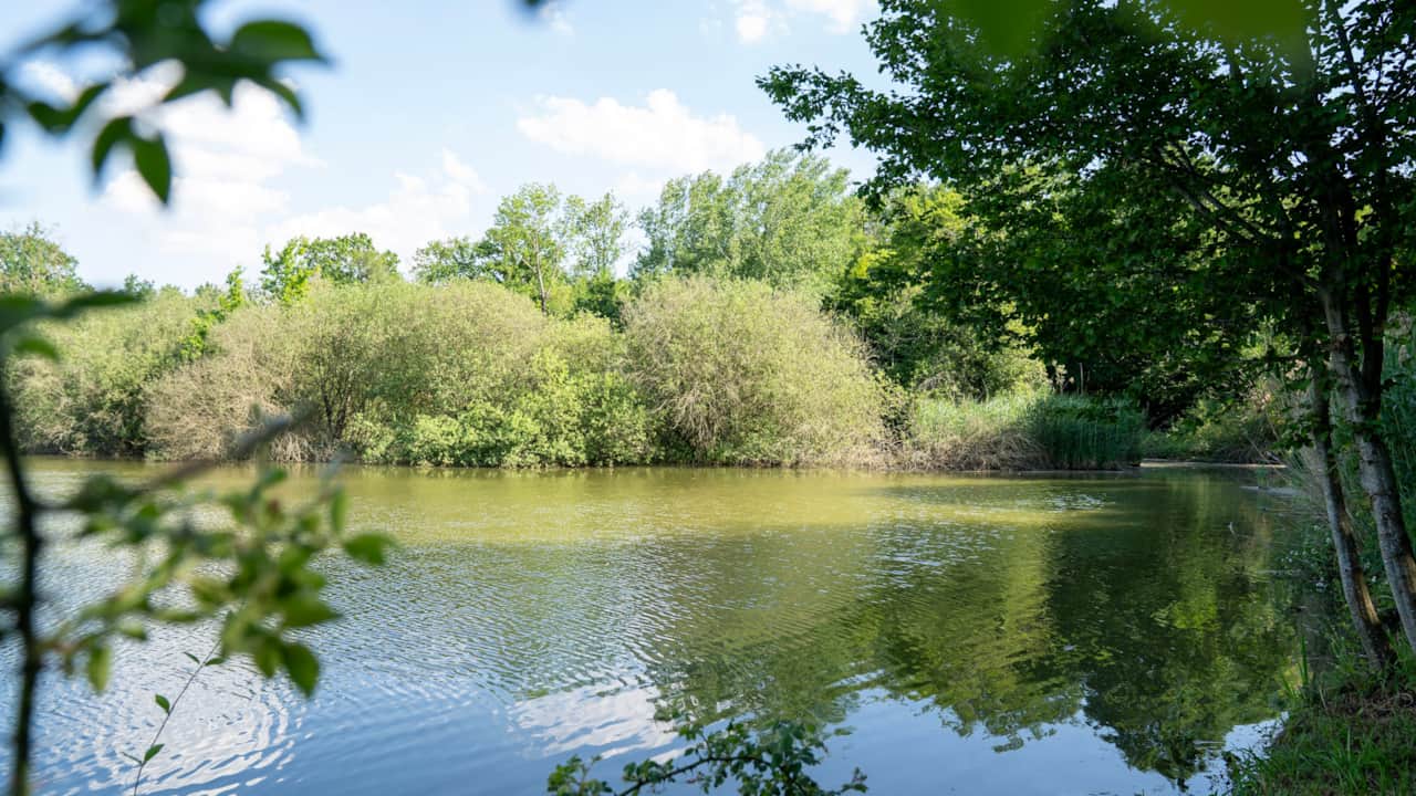 Etang