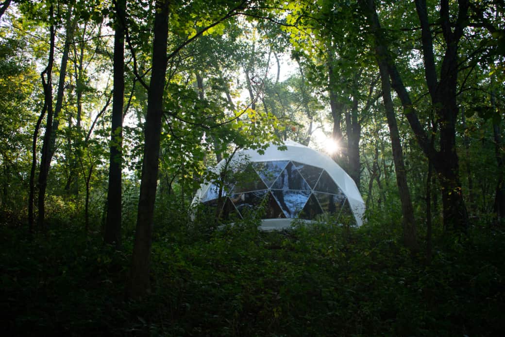 View of the dome front from bottom of the forest mid morning. View of the dome front from bottom of the forest mid morning.