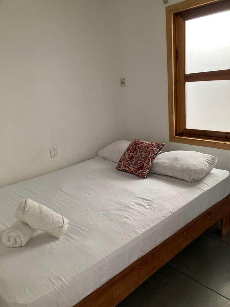 C2e29158 51fb 469c 99ae e029edd1ea74